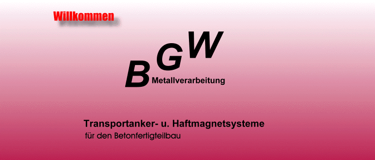 BGW Haftmagnete Anker Transportanker Beton Muffen Kugelkopfanker